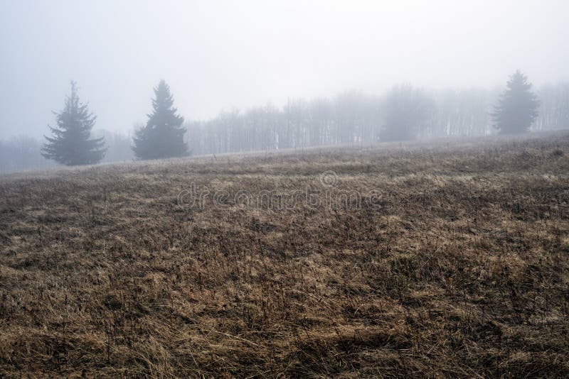 Hmlistá krajina, vrch Strážov, Strážovské hory, Slovensko