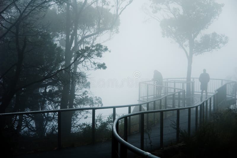 Foggy Lookout