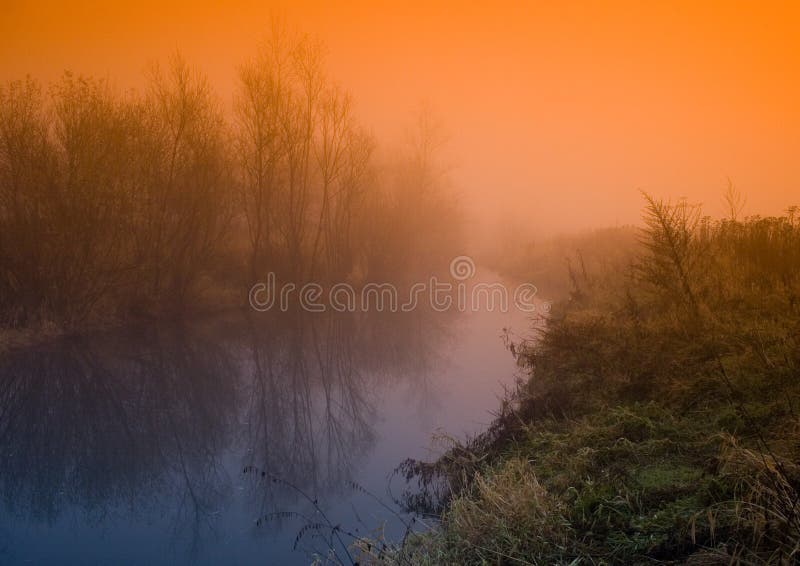 Foggy morning