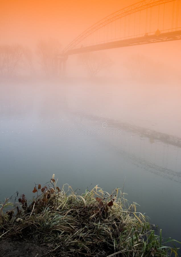 Foggy morning