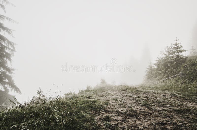 Foggy morning landscape royalty free stock photos Foggy morning landscape royalty free stock photos