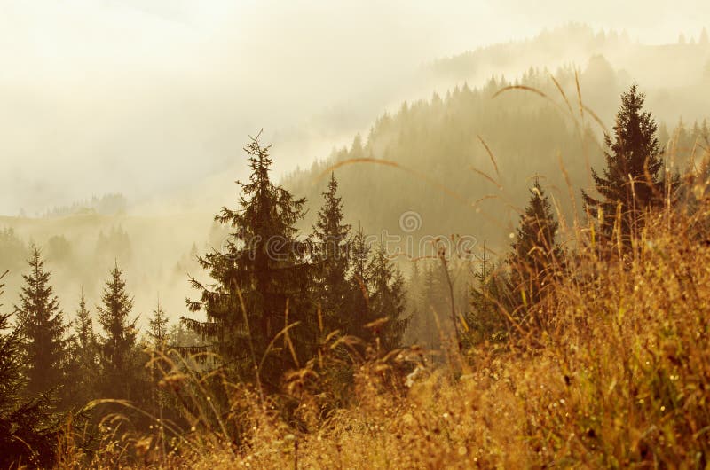 Foggy morning landscape stock photography Foggy morning landscape stock photography