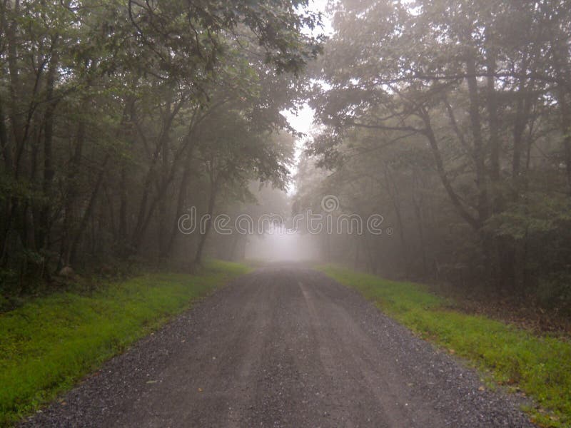 Foggy Dirt Road Stock Photo Image Of Road Mountain Brush 3180340