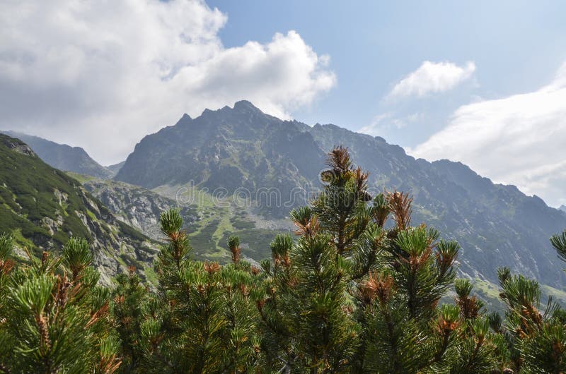 Krajina mlžných hor, turistická stezka v Mengusovské dolině, Vysoké Tatry, Slovensko