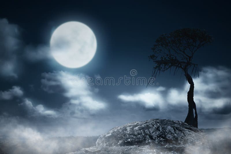 Moonlight zombi stock photo. Image of demon, mist, gothic - 28590770