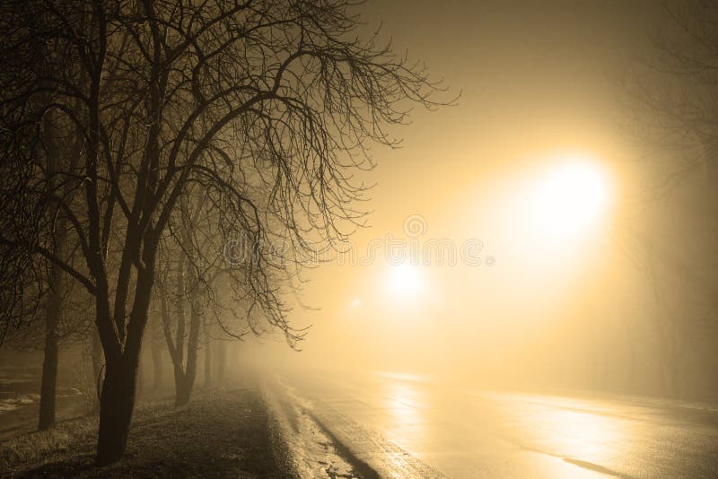 Foggy road