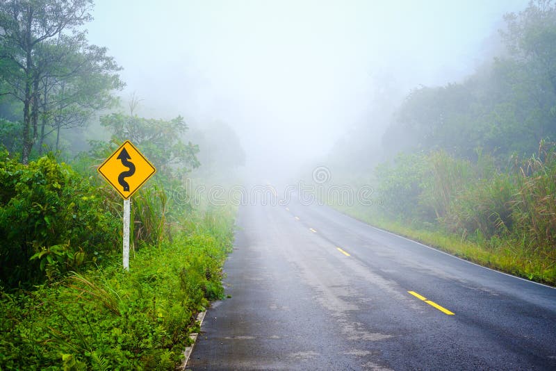 Foggy Road in the Forest