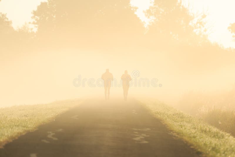 Foggy run stock photo. Image of countryside, holland 44632482