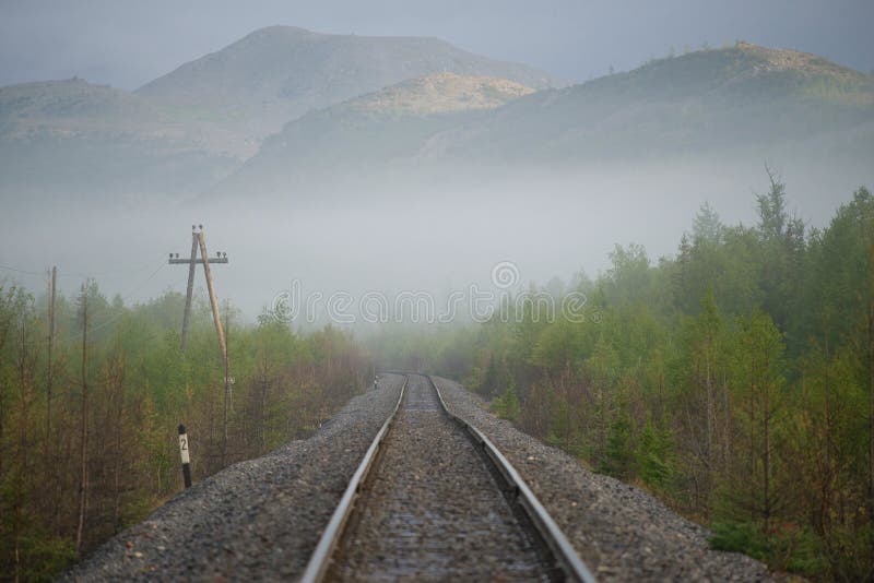 Foggy summer morning on the Vorkuta - Labytnangi railway. Polar Ural, Russia