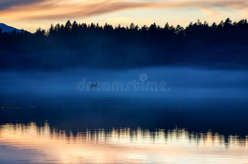 Foggy sunset stock images