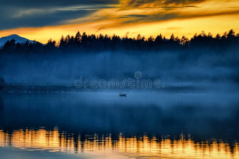 Foggy sunset royalty free stock photo