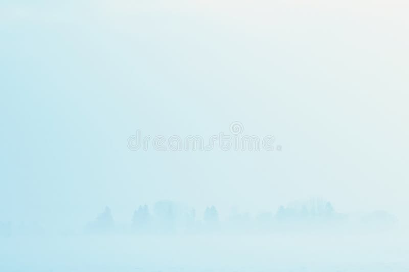 Foggy winter scenery