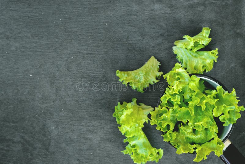 Green lettuce leaves in kitchen ladle on stone cutting board on kitchen table, vitamin, food, greenery, close, up, vegetarian, cuizine, salad, healthy, fresh, organic, nature, closeup, natural, freshness, meal, agriculture, agricultural, vegetable, gourmet, ingredient, vegan, plant, diet, dieting, nutrition, summer, farm, farming, garden, gardening, flatlay, top, view, above, bowl, dish. Green lettuce leaves in kitchen ladle on stone cutting board on kitchen table, vitamin, food, greenery, close, up, vegetarian, cuizine, salad, healthy, fresh, organic, nature, closeup, natural, freshness, meal, agriculture, agricultural, vegetable, gourmet, ingredient, vegan, plant, diet, dieting, nutrition, summer, farm, farming, garden, gardening, flatlay, top, view, above, bowl, dish