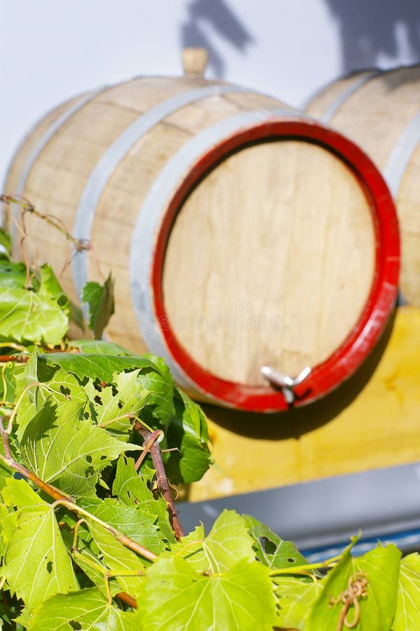 Fogli della vite con il barile di vino vago fotografia stock Fogli della vite con il barile di vino vago fotografia stock