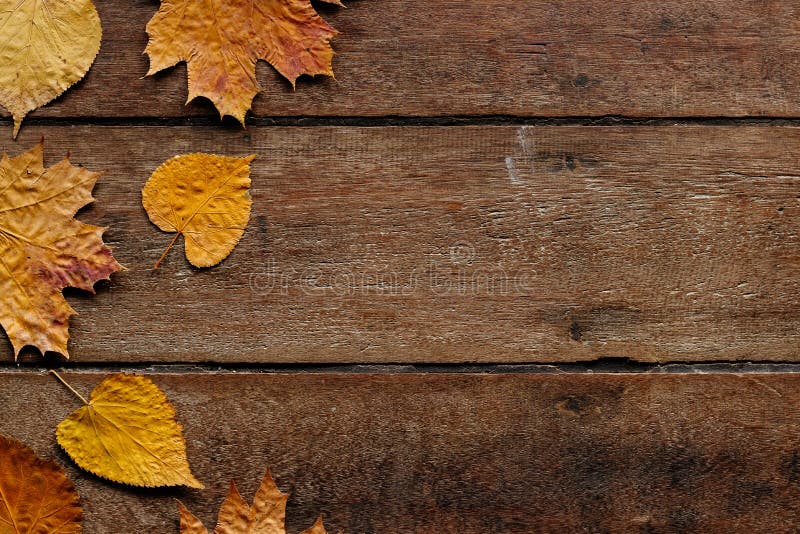 Fogli di autunno su priorit? bassa di legno con lo spazio della copia Carta da parati per il 1? settembre
