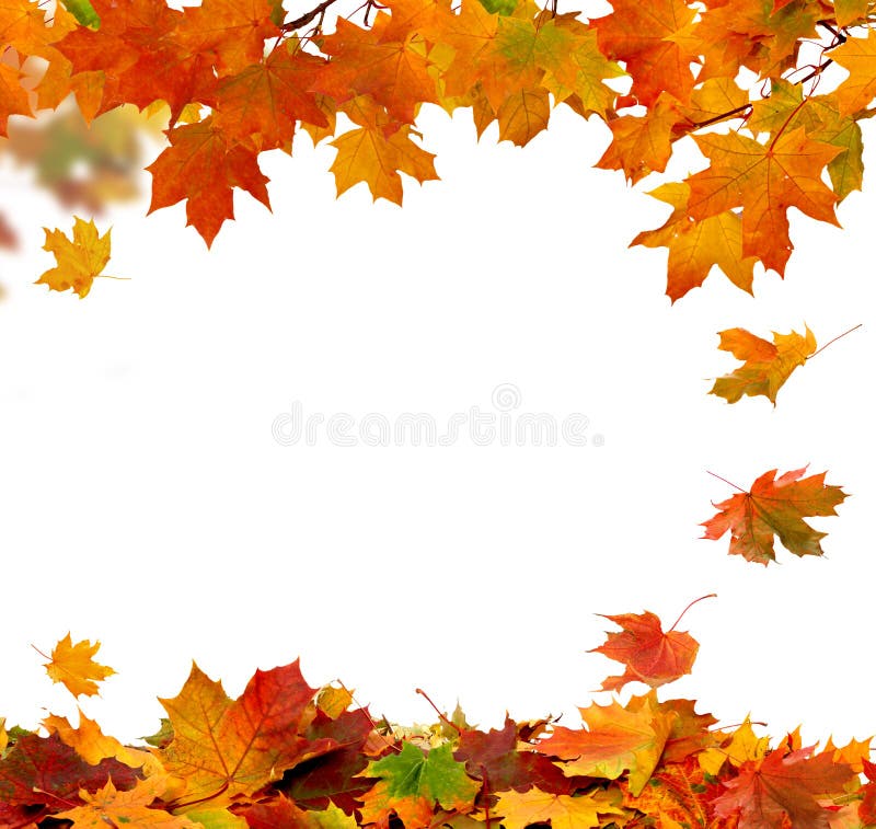 fogli di caduta di autunno