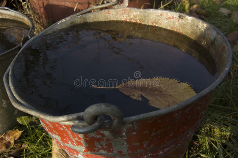Foglia caduta autunno all'acqua in secchio fotografie stock libere da diritti Foglia caduta autunno all'acqua in secchio fotografie stock libere da diritti