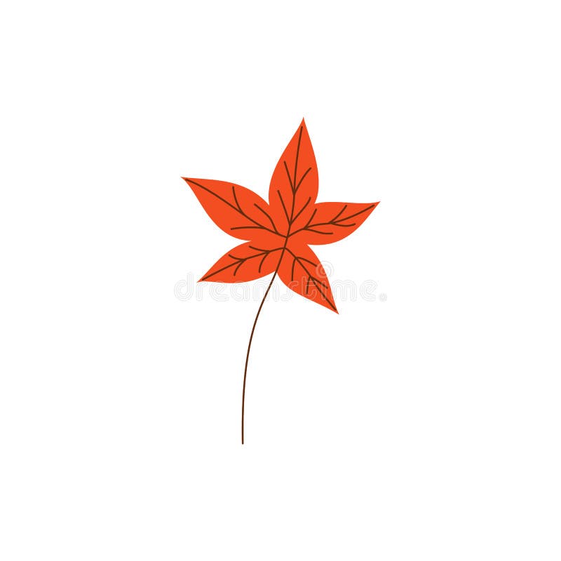 Foglia di acero arancio di autunno isolata su fondo bianco illustrazione di stock Foglia di acero arancio di autunno isolata su fondo bianco illustrazione di stock