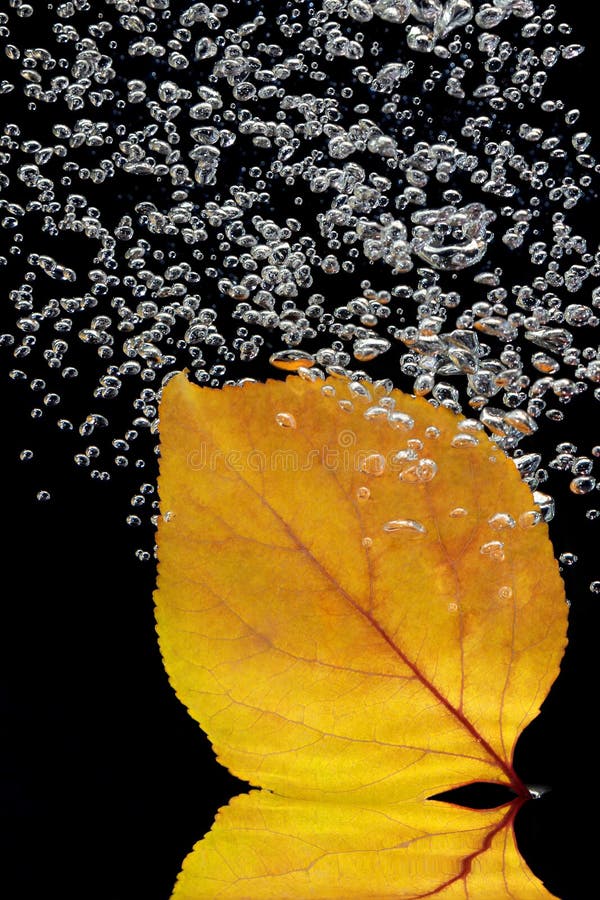 Carta Stabilizzante Idrosolubile Autoadesiva Per Ricamo - 24 Fogli A4 Stampabili - Per Ricamo A Mano E Macchina