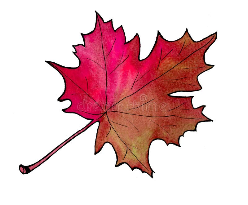Foglia di autunno, isolata su fondo bianco royalty illustrazione gratis Foglia di autunno, isolata su fondo bianco royalty illustrazione gratis