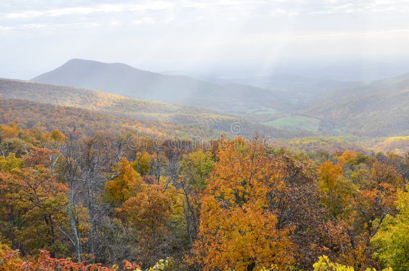 Fogliame di autunno nel parco nazionale di Shenandoah - Virginia United States fotografie stock libere da diritti Fogliame di autunno nel parco nazionale di Shenandoah - Virginia United States fotografie stock libere da diritti