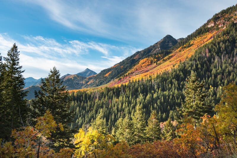 Brilliant fall colors blanket the mountain side with blue sky and clouds overhead. Brilliant fall colors blanket the mountain side with blue sky and clouds overhead