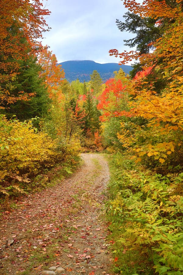 Fogliame di caduta lungo la vecchia strada non asfaltata in valle di Carrabasset, Maine fotografie stock libere da diritti Fogliame di caduta lungo la vecchia strada non asfaltata in valle di Carrabasset, Maine fotografie stock libere da diritti