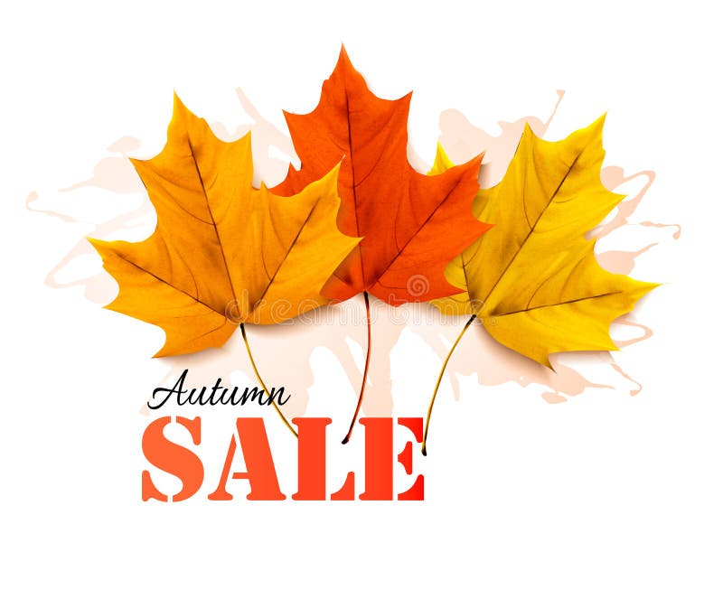 Foglie di Autumn Sales Banner With Colorful illustrazione vettoriale