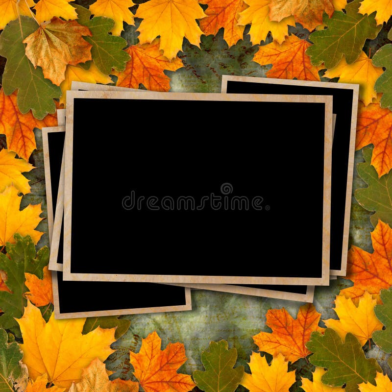 Foglie di autunno multicolori luminose su bello fondo astratto fotografia stock libera da diritti Foglie di autunno multicolori luminose su bello fondo astratto fotografia stock libera da diritti
