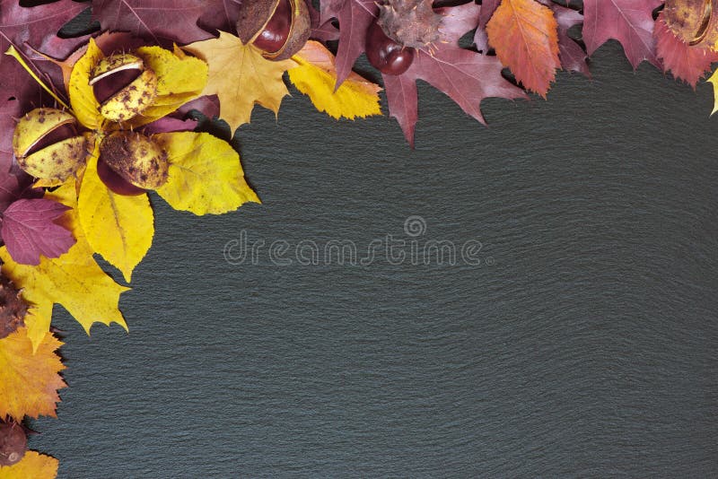 Foglie di autunno su fondo nero fotografie stock Foglie di autunno su fondo nero fotografie stock