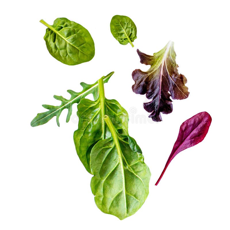 Foglie di insalata di volo isolate su fondo bianco Assortimento dell'insalata verde con l'arugula, la lattuga, la carota, gli spi fotografia stock Foglie di insalata di volo isolate su fondo bianco Assortimento dell'insalata verde con l'arugula, la lattuga, la carota, gli spi fotografia stock