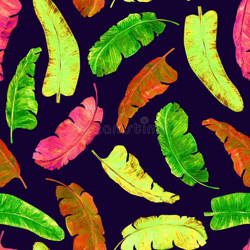 Foglie dolci variopinte delle banane su fondo blu scuro royalty illustrazione gratis Foglie dolci variopinte delle banane su fondo blu scuro royalty illustrazione gratis