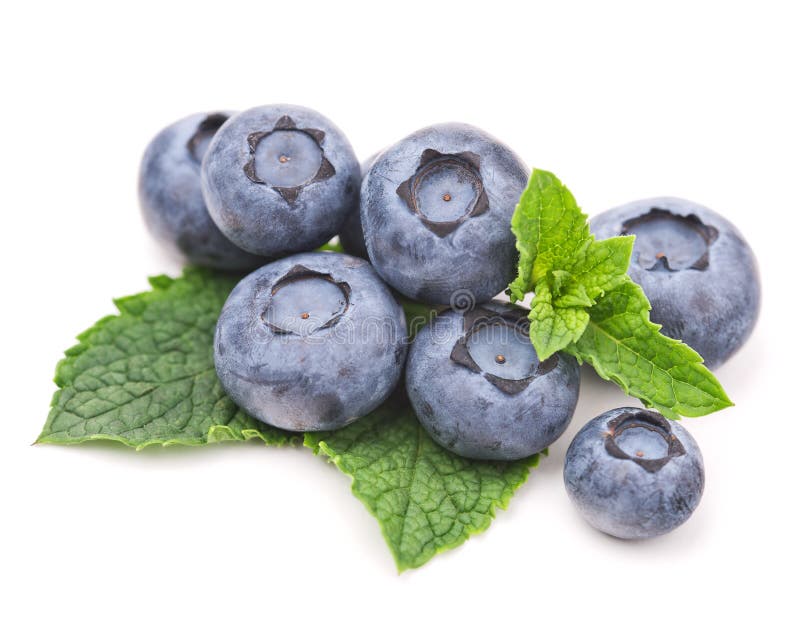 Foglie fresche di menta e del mirtillo isolate su bianco fotografie stock libere da diritti