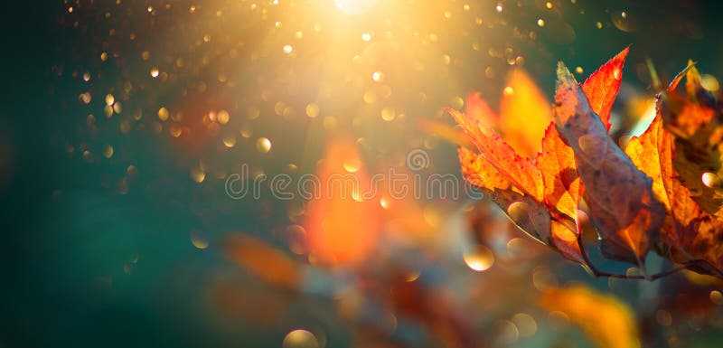 Foglie luminose variopinte di autunno che oscillano in un albero in parco autunnale Priorità bassa variopinta di autunno fotografie stock