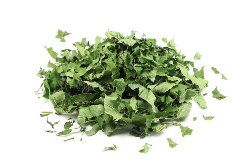 Foglie secche del ribes nero fotografia stock libera da diritti Foglie secche del ribes nero fotografia stock libera da diritti