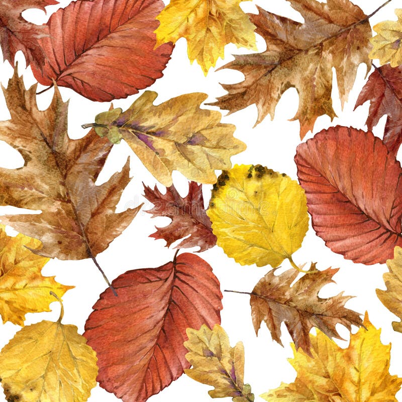 Foglie variopinte del fondo dell'acquerello di autunno illustrazione vettoriale