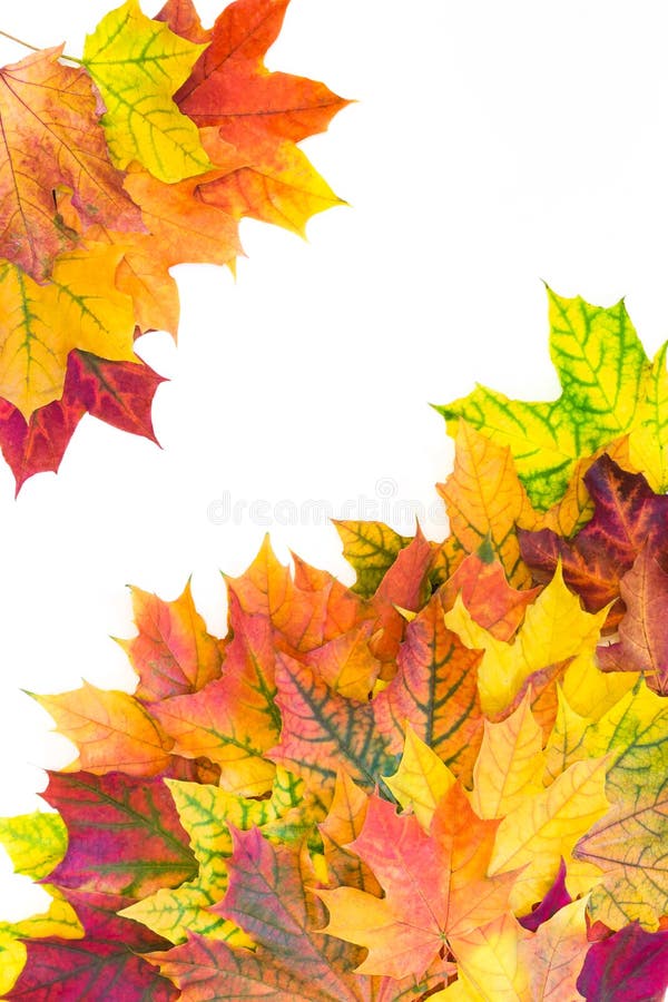 Foglie variopinte di autunno come confine con spazio bianco per testo Vista superiore Struttura di caduta illustrazione di stock