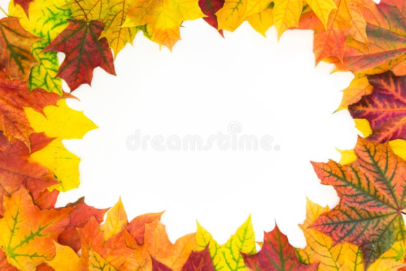 Foglie variopinte di autunno come confine con spazio bianco per testo Vista superiore Struttura di caduta illustrazione vettoriale