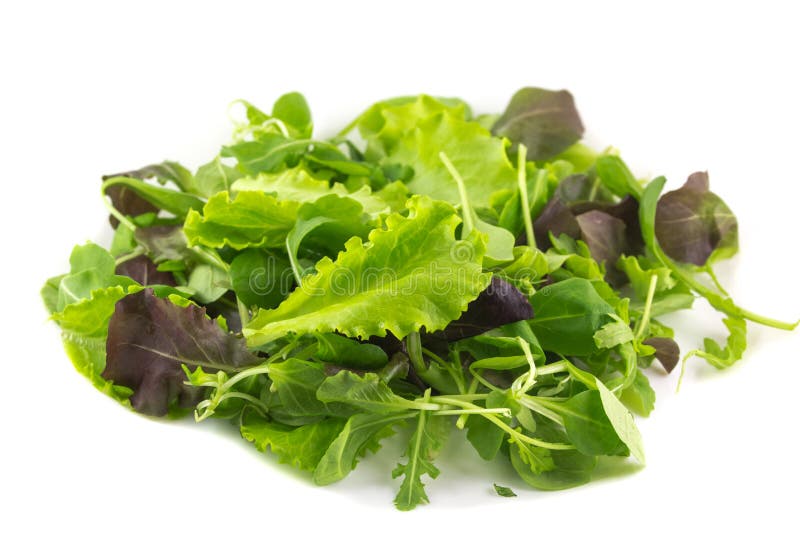 Foglie verdi dell'insalata mista crude immagini stock
