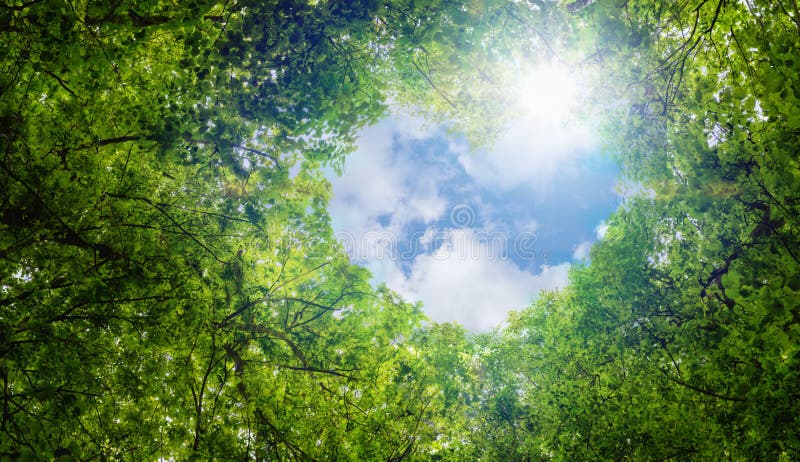 Foglie verdi fondo, estratto del fondo di simbolo di amore di eco di idea di concetto di ecologia della nuvola di forma del cuore fotografia stock Foglie verdi fondo, estratto del fondo di simbolo di amore di eco di idea di concetto di ecologia della nuvola di forma del cuore fotografia stock
