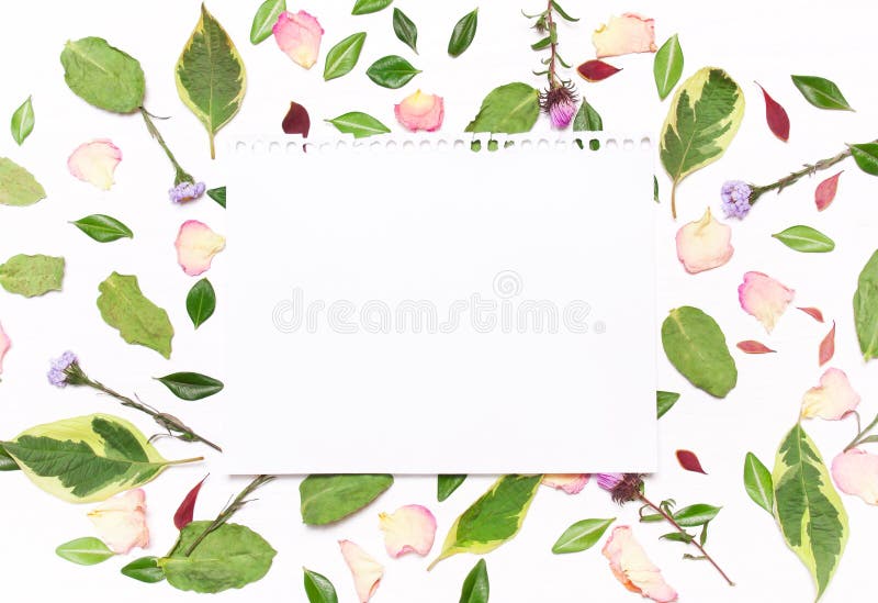 Foglio di carta per testo nel telaio dei fiori, dei petali e del verde fotografia stock libera da diritti Foglio di carta per testo nel telaio dei fiori, dei petali e del verde fotografia stock libera da diritti