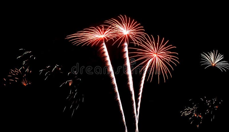 Fogos-de-artifício, árvores de coco ou teste padrão de flores isolado real foto de stock royalty free Fogos-de-artifício, árvores de coco ou teste padrão de flores isolado real foto de stock royalty free