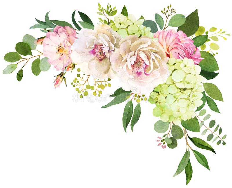 Fokus auf dem Vordergrund Pfingstrose, Hortensie und rosafarbenes Blumenaquarell IL vektor abbildung Fokus auf dem Vordergrund Pfingstrose, Hortensie und rosafarbenes Blumenaquarell IL vektor abbildung