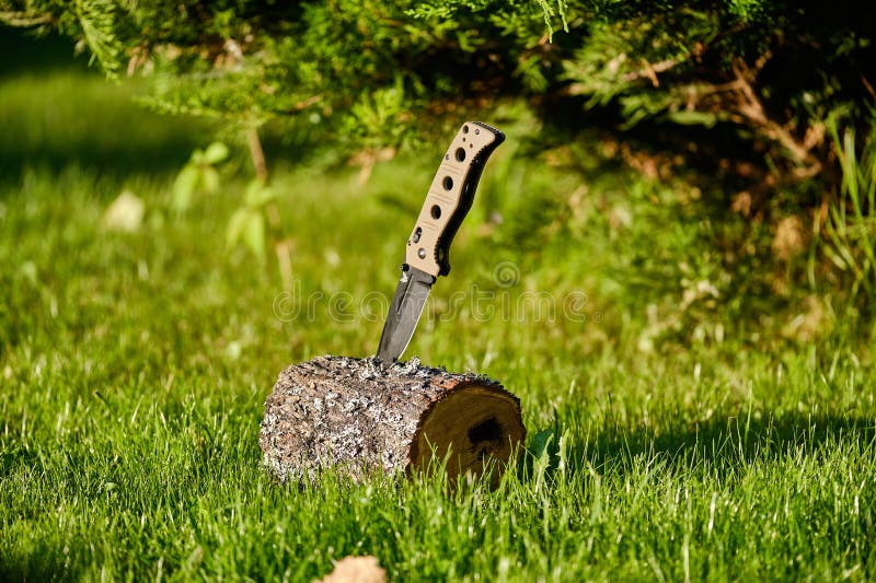 621 Hunting Knife Grass Stock Photos Free & RoyaltyFree Stock Photos