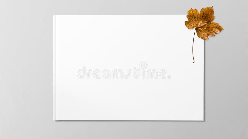 Folha de bordo secada amarela no fundo branco imagem de stock Folha de bordo secada amarela no fundo branco imagem de stock