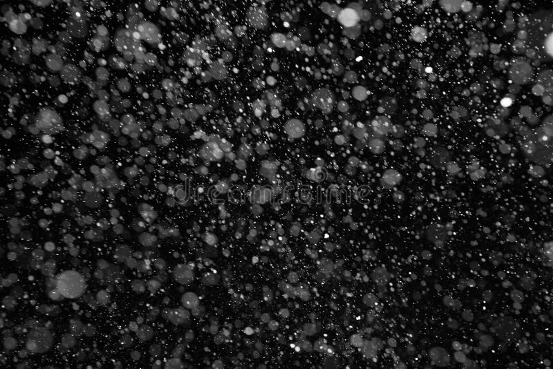 Folha de prova real da neve foto de stock Folha de prova real da neve foto de stock