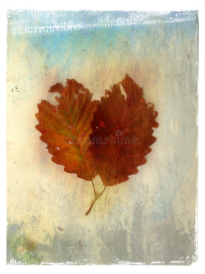 Download Folha que pinta 3 ilustração stock. Ilustração de painterly - 57503