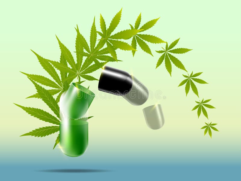 Folha verde com gotas da água para o fundo ilustração do vetor Folha verde com gotas da água para o fundo ilustração do vetor