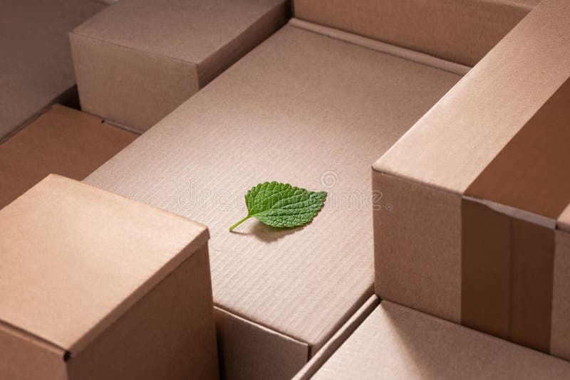 Fresh green leaf laying between cardboard boxes. Environmental costs of shipping deliveries. Concept of carbon neutral shipment. Fresh green leaf laying between cardboard boxes. Environmental costs of shipping deliveries. Concept of carbon neutral shipment.