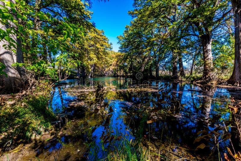 Bright Beautiful Fall Foliage on the Crystal Clear Frio River with Blue Skies. Bright Beautiful Fall Foliage on the Crystal Clear Frio River with Blue Skies.